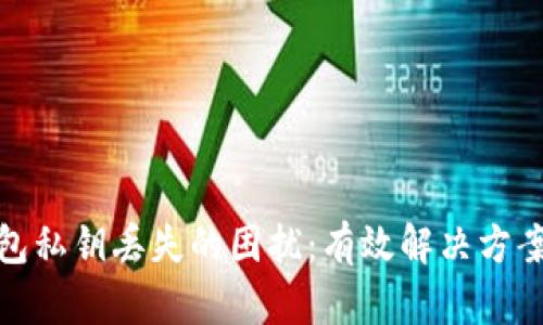 如何处理钱包私钥丢失的困扰：有效解决方案与预防措施