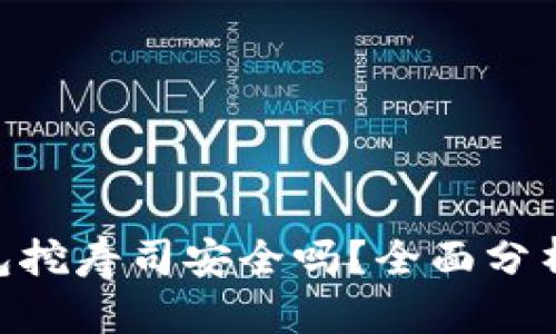 Tokenim钱包挖寿司安全吗？全面分析与风险评估