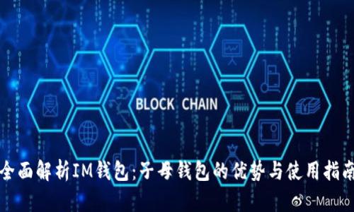 全面解析IM钱包：子母钱包的优势与使用指南