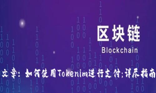 文章: 如何使用Tokenim进行支付：详尽指南