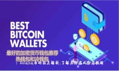 : Solana币的弱点解析：了解