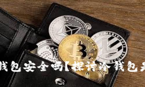 区块链冷钱包安全吗？探讨冷钱包是否会被盗