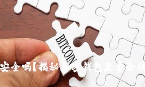 加密钱包安全吗？揭秘加密钱包是否会被别人套开
