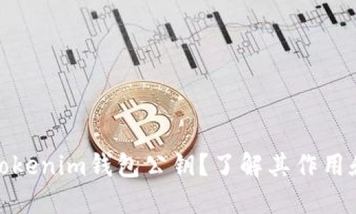 什么是Tokenim钱包公钥？了解其作用和安全性