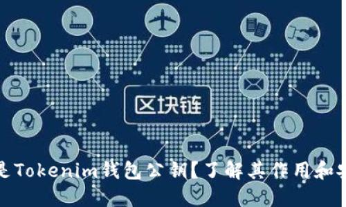 什么是Tokenim钱包公钥？了解其作用和安全性