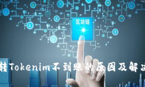 货币转Tokenim不到账的原因及解决方案