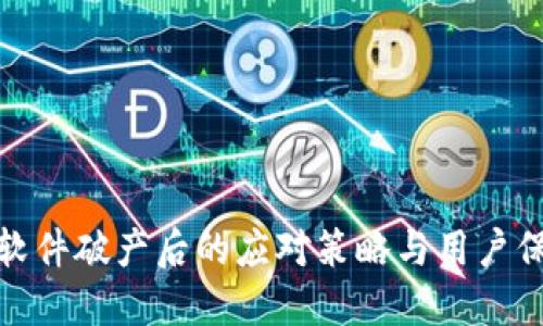 冷钱包软件破产后的应对策略与用户保护措施