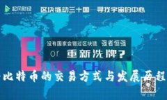 最早比特币的交易方式与