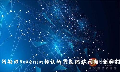 如何处理Tokenim错误的钱包地址问题：全面指南