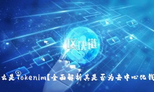 什么是Tokenim？全面解析其是否为去中心化钱包