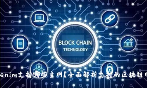 Tokenim支持哪些主网？全面解析支持的区块链网络