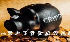 在Tokenim禁止了资金后你该