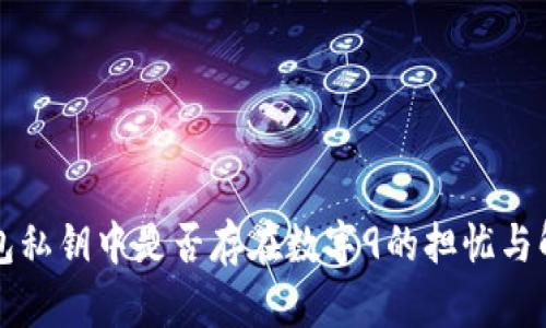 钱包私钥中是否存在数字9的担忧与解读