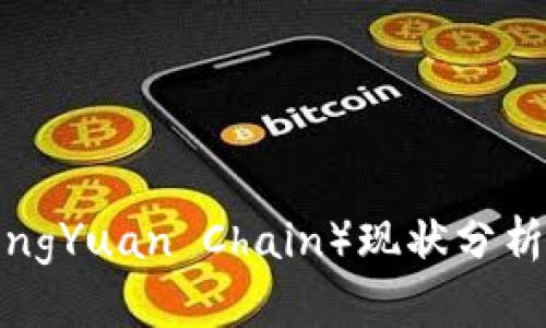 盛源链（ShengYuan Chain）现状分析与未来趋势