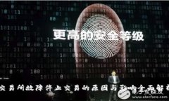 交易所故障停止交易的原因与影响全面解析