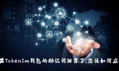如果TokenIm钱包的助记词泄露了，您该如何应对？