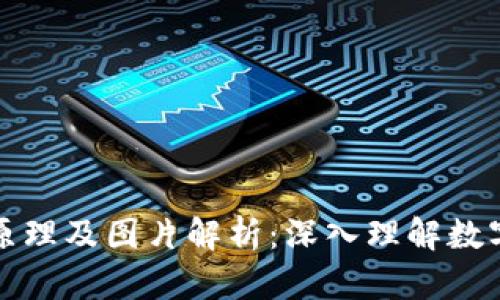 虚拟币钱包的原理及图片解析：深入理解数字货币安全储存