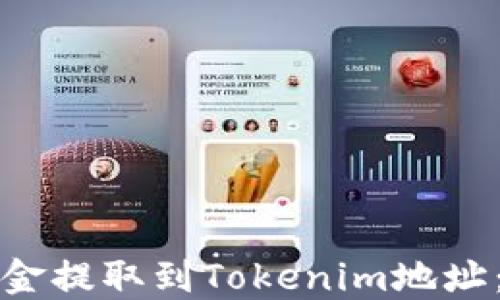 
如何将资金提取到Tokenim地址：详细指南