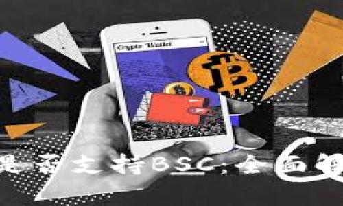 Tokenim钱包是否支持BSC：全面解析与用户指南