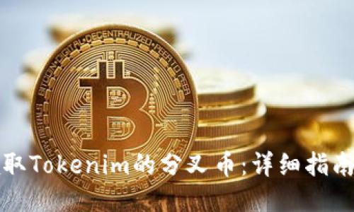 如何领取Tokenim的分叉币：详细指南与技巧