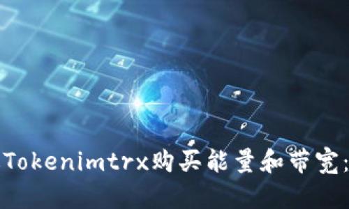 如何通过Tokenimtrx购买能量和带宽：详细指南