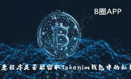 恶意程序是否能窃取Tokenim钱包中的私钥？