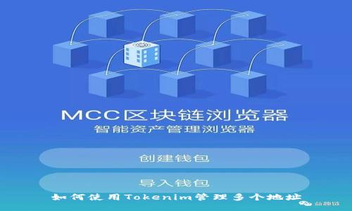 如何使用Tokenim管理多个地址