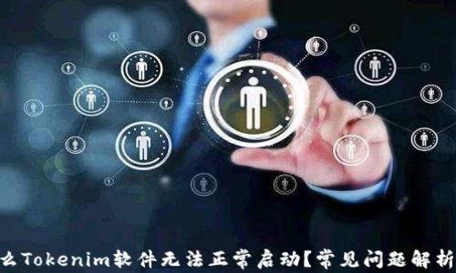 
baioti为什么Tokenim软件无法正常启动？常见问题解析与解决方案