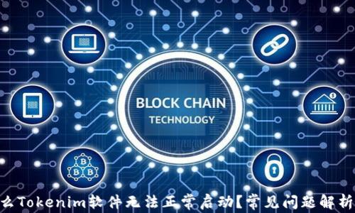 
baioti为什么Tokenim软件无法正常启动？常见问题解析与解决方案