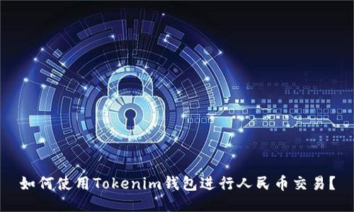 如何使用Tokenim钱包进行人民币交易？