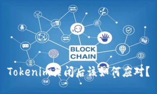 Tokenim关闭后该如何应对？