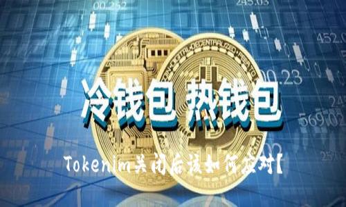 Tokenim关闭后该如何应对？