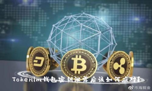 Tokenim钱包密钥泄露后该如何应对？