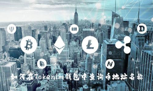 如何在Tokenim钱包中查询币地址名称
