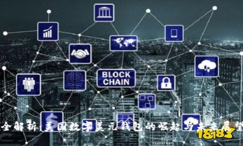 全解析：美国数字美元钱包的崛起与未来展望