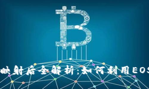 Tokenim EOS映射后全解析:如何利用EOS区块链的潜力