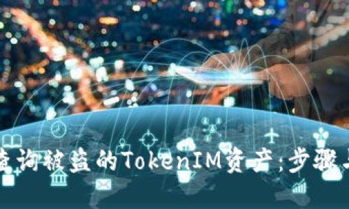 如何查询被盗的TokenIM资产：步骤与技巧