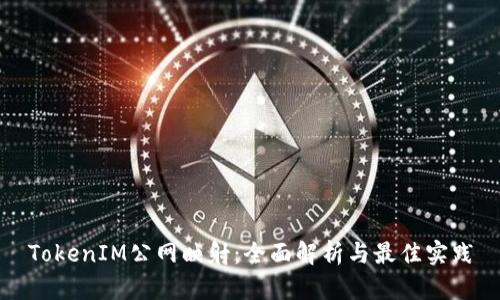 TokenIM公网映射：全面解析与最佳实践