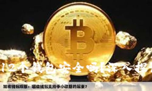 区块链：12个钱包安全吗？深入探讨与分析