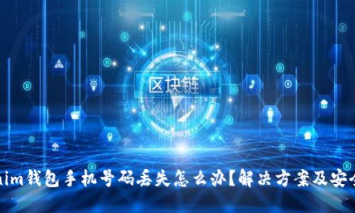 Tokenim钱包手机号码丢失怎么办？解决方案及安全提示