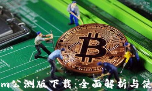 
tokenim公测版下载：全面解析与使用指南