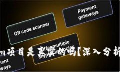 Tokenim项目是真实的吗？深入分析与探讨