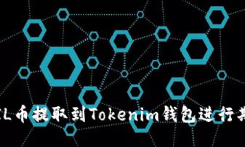 如何将FIL币提取到Tokenim钱包进行期货交易？