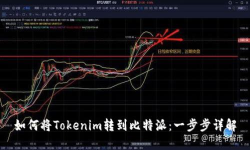 如何将Tokenim转到比特派：一步步详解