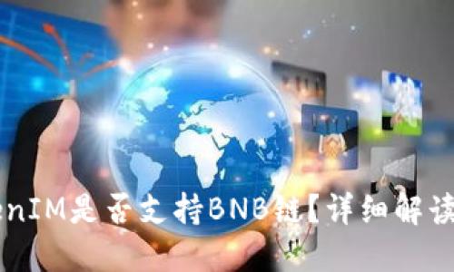 ### TokenIM是否支持BNB链？详细解读与使用指南