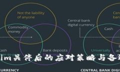 Tokenim关停后的应对策略与备选方案