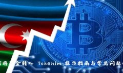 如何将资金转入 Tokenim：操作指南与常见问题解答