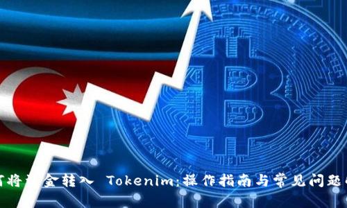 如何将资金转入 Tokenim:操作指南与常见问题解答
