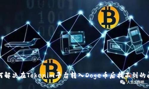 如何解决在Tokenim平台转入Doge币后找不到的问题