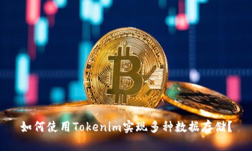 如何使用Tokenim实现多种数据存储？